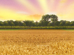 开云游戏平台基地展示3