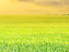 开云游戏平台基地展示1